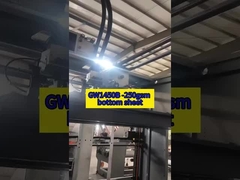 GW1450B - 250 gm folha inferior